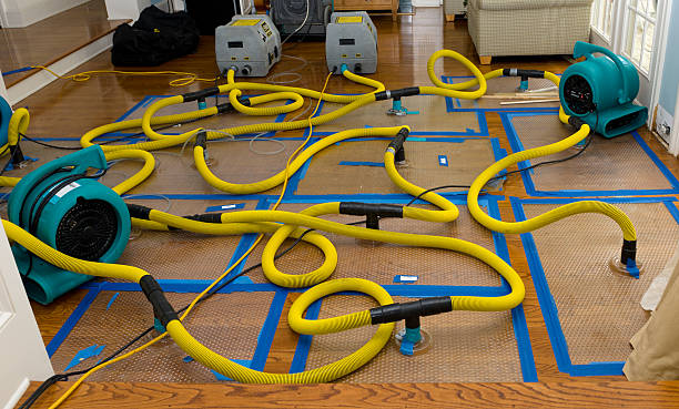 Professional Water Damage Restoration technician working in Albion, MI