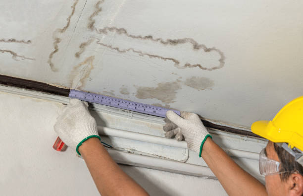 Affordable Water Damage Repair solutions in Albion, MI